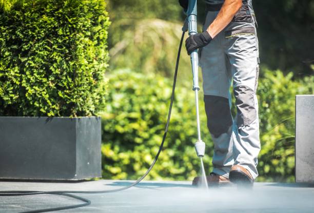 Best Solar Panel Cleaning  in Mapleton, ND