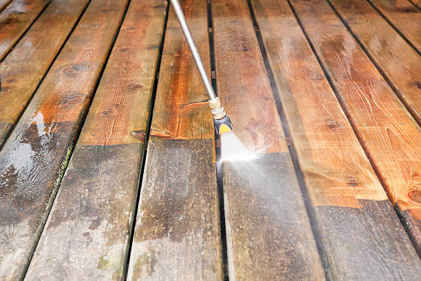 Best Gutter Cleaning  in Mapleton, ND